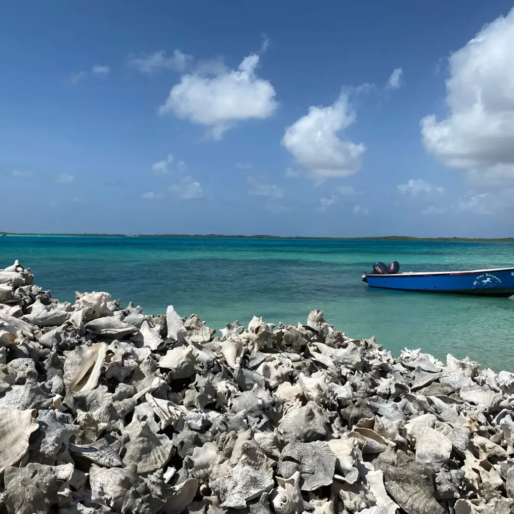 Vakantiehuis Bonaire