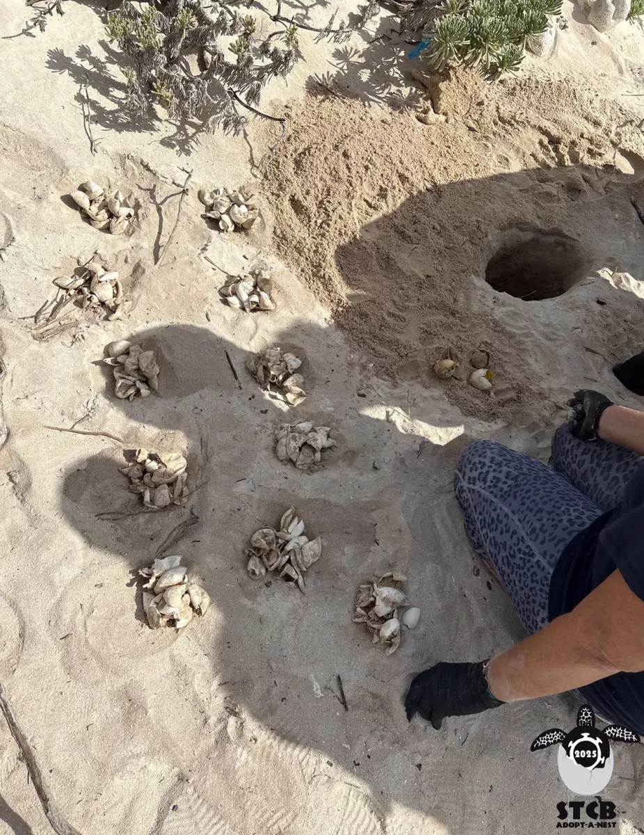 Vakantiehuis Bonaire