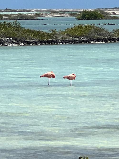 vakantiehuis bonaire13 11 2023 om 15.26.15 21
